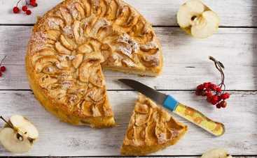 Рецепт воздушной яблочной шарлотки: простой пирог за 30 минут