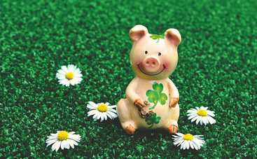 Предметы, приносящие удачу знакам Зодиака