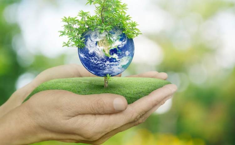 Всемирный день охраны окружающей среды 2019 в Киеве