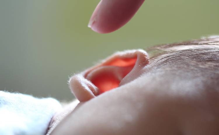 Форма ушей влияет на слух: исследование ученых