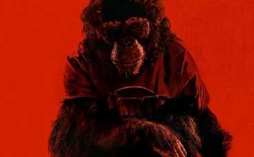 ЕКСКЛЮЗИВ: заглядаємо за куліси фільму «Примат». Як створювався фільм про оскаженілу мавпу?