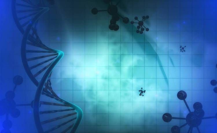 Что можно узнать о человеке из ДНК-теста