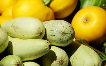 Сочные кабачки с сыром в духовке (рецепт)