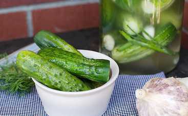 Чудо-рецепт! Быстрые малосольные огурцы (рецепт)