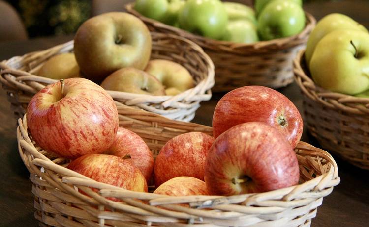 Яблочный Спас: что обязательно должна сделать женщина в этот день, запреты праздника