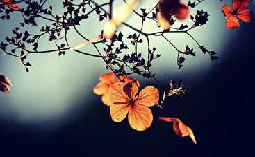 Почему 11 сентября нельзя брать в руки нож?