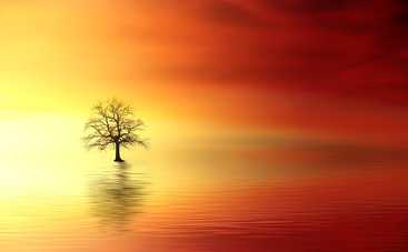 Гороскоп на 24 сентября 2019 года для всех знаков Зодиака