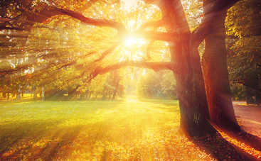 Магнитные бури в октябре 2019 года: чего ожидать украинцам