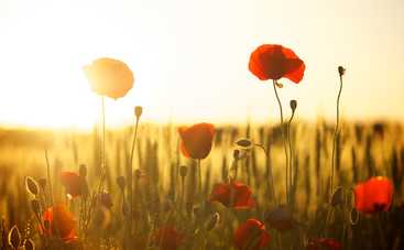 Лунный гороскоп на 30 сентября 2019 года для всех знаков Зодиака