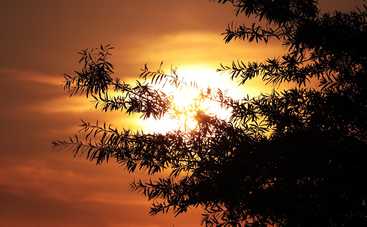 Гороскоп на 3 октября 2019 года для всех знаков Зодиака