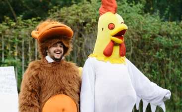 «Экс»-девушка узнала любимого в обезьяне