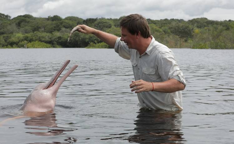 Мир наизнанку: Дмитрий Комаров в опасных водах Амазонки отыскал редких розовых дельфинов