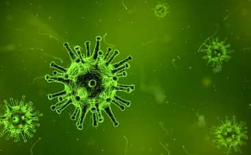 Ученые обнаружили источник происхождения коронавируса