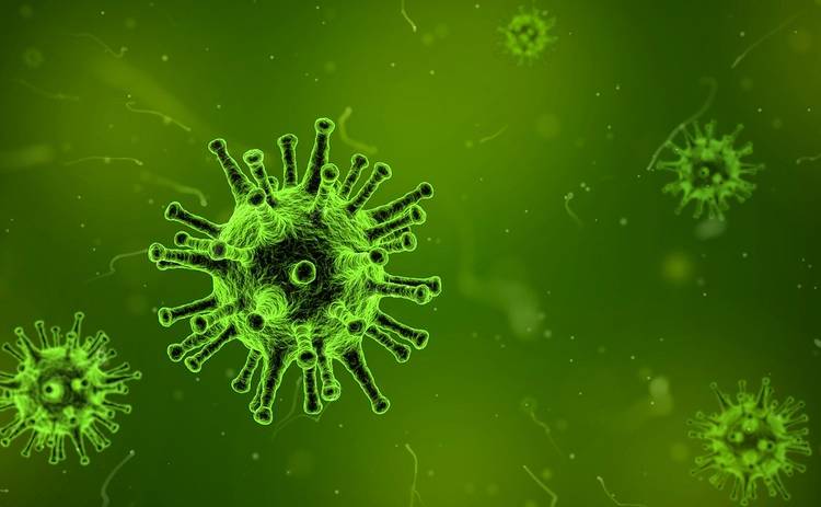 Ученые обнаружили источник происхождения коронавируса