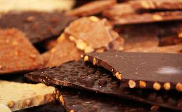 Сладкая история: кому шоколад строго запрещен к употреблению?