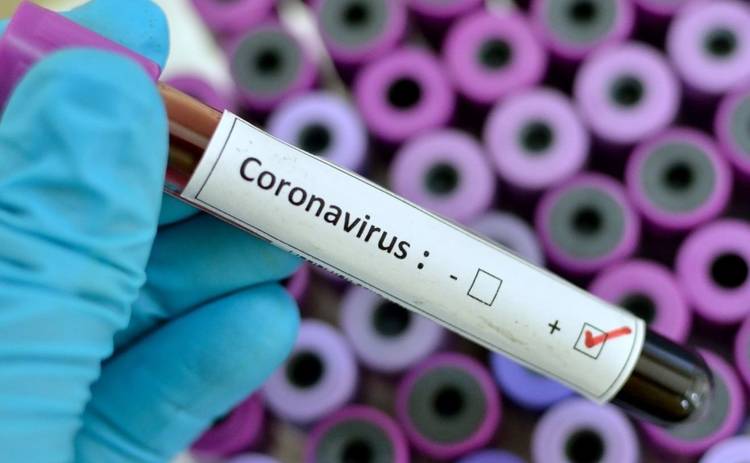 Что делать, если заподозрили коронавирус у себя или близких
