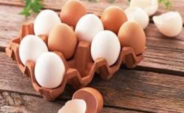 Почему яйца необходимо есть каждый день: ТОП-5 причин