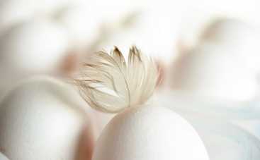 Яичный салат из пяти ингредиентов (рецепт)