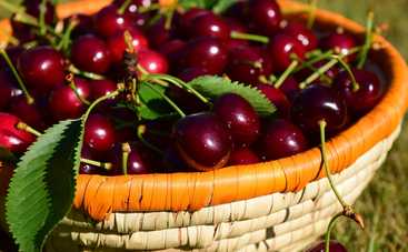 ТОП-5 полезных свойств черешни: малокалорийная и богата витаминами ягода