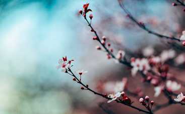 Гороскоп на 19 июня 2020 для всех знаков Зодиака