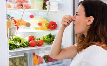 Как убрать неприятный запах в холодильнике: ТОП-4 лайфхака