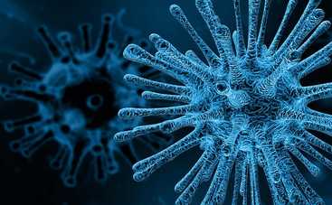 Спровоцирует ли пандемию новый свиной грипп G4: отвечает Доктор Комаровский