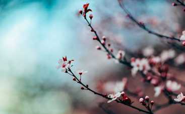 21 августа: какой сегодня праздник, приметы, именинники и запреты