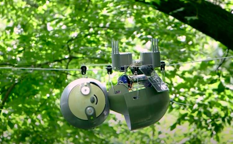 Инженеры создали уникального робота, который изменит жизни людей