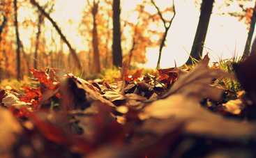 5 ноября: какой сегодня праздник, приметы, именинники и запреты