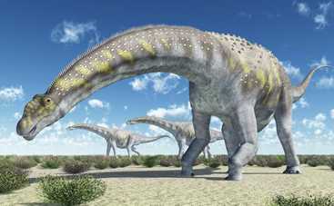Ученые обнаружили фрагменты скелета самого крупного динозавра на Земле