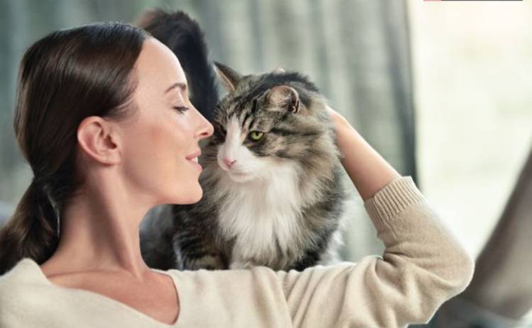 Чудові новини від Nestlé Purina®: обійняти кота тепер зможе кожен