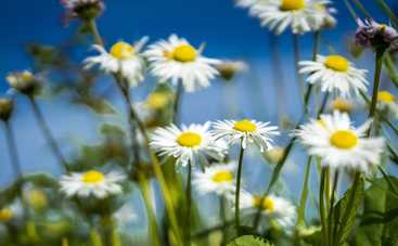 Магнитные бури сегодня в Украине