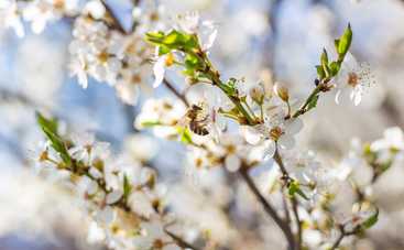 Магнитные бури сегодня в Украине