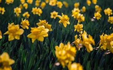 Магнитные бури сегодня в Украине