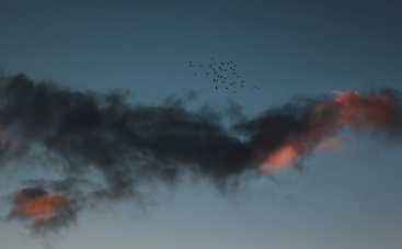 Магнитные бури сегодня в Украине