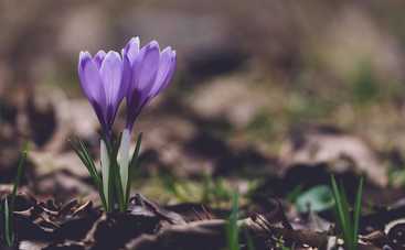 Магнитные бури сегодня в Украине