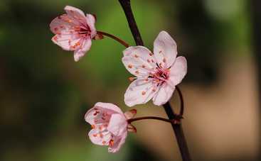 Магнитные бури сегодня в Украине