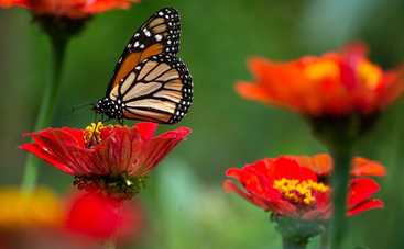 Магнитные бури 28 апреля 2021 в Украине