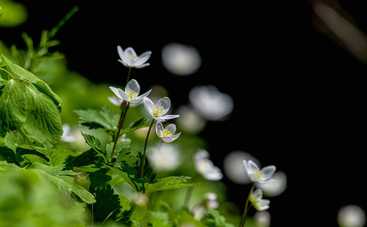 Магнитные бури 4 мая 2021 в Украине