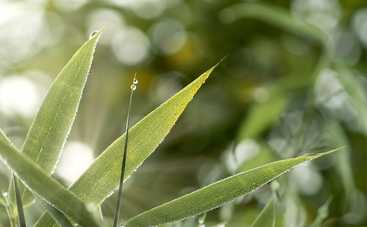 Лунный гороскоп на 12 мая 2021 года для всех знаков Зодиака