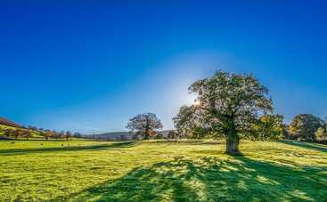 Магнитные бури 29 мая 2021 в Украине