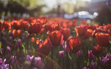 Гороскоп на 6 июня 2021 для всех знаков Зодиака