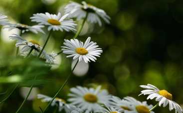 Лунный гороскоп на 13 июня 2021 года для знаков Зодиака