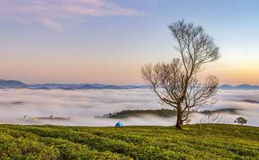 Лунный гороскоп на 29 июня 2021 года для знаков Зодиака
