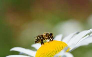 Магнитные бури 16 июля 2021 в Украине