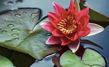 Лунный гороскоп на 18 июля 2021 года для знаков Зодиака