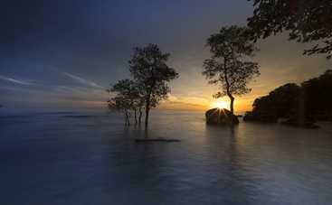 Лунный гороскоп на 4 августа 2021 года для знаков Зодиака