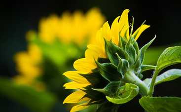 Магнитные бури 11 августа 2021 в Украине