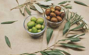 Гороскоп на 22 августа 2021 для всех знаков Зодиака