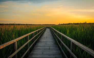 Гороскоп на 23 августа 2021 для всех знаков Зодиака